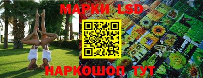прущие грибы Мариинск