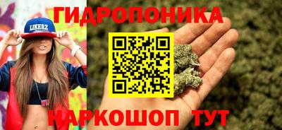 марихуана Малгобек