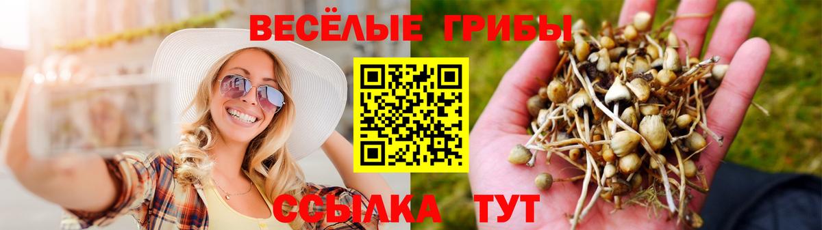 Тулун  Псилоцибиновые грибы мухоморы  Вход с VPN 